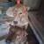Dog found in dumpster needs a home 2 thumbnail