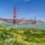 Ready Now -  2BR apartment, 424 Jones St,  #505 San Francisco 16 thumbnail