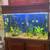 FISH TANK 3 thumbnail
