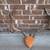 Deer Antlers, several 4 thumbnail
