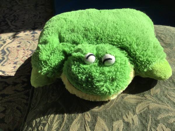 Pillow Pet 1
