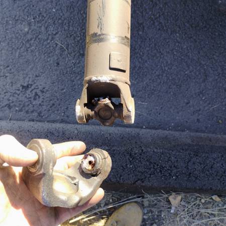 Free room and board for Ranch hand that can take care of a Ranch animals and one 1