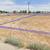 3 LOTS TOGETHER JUST OFF THE MAIN STREET . LAND 28,749 SQFT UTILITIES 5 thumbnail