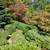 Property upkeep services: Landscape, Painting, Pressure washing, etc 4 thumbnail