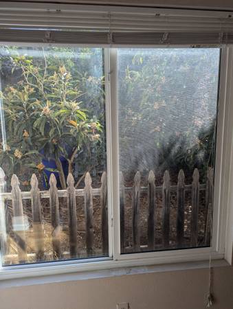 $1,100 / 4br - Room for rent (San Diego)63701665494913124