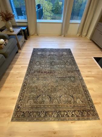 Area rug 1