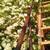 Beautiful Fishing Cottage/Camp on Canandaigua Lake! 3 thumbnail