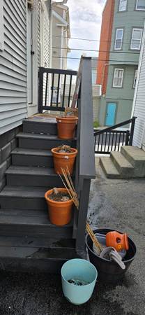 Gardening items 1