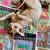Adult Male Sphynx 5 thumbnail