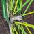 Rare lowrider 2 speed pedal bike 2 thumbnail