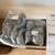Vevor 100 Feet 1/2" PVC Liquid Tight / Seal Tight Conduit and Fittings 4 thumbnail