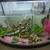 Aquarium 3 thumbnail