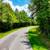 3.50 Acres in Nelson, VA 2 thumbnail