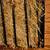 Hay Racks 2 thumbnail