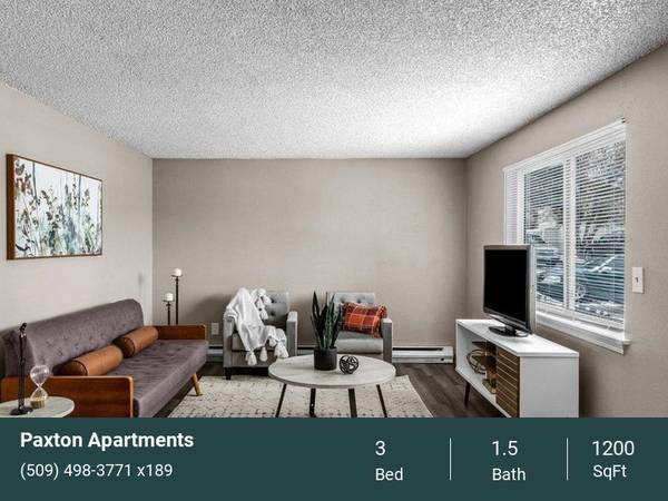 $1,650 / 3br - 1200ft2 - Three Bedroom 1.5 Bath - Fantastic Specials Running Now! Upgrades!63862921981315120