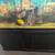 75 gallon saltwater fish tank and stand 2 thumbnail