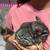 Male chinchilla (s) 4 thumbnail