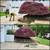 Landscape and mowing services 12 thumbnail