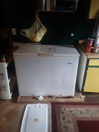 Deep chest freezer 1