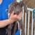 Miniature Nubian  Moonspotted Doe Nutmeg 3 thumbnail
