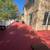 Painter/ Plaster/Venetian Plaster 13 thumbnail