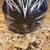Vega helmet size small 10 thumbnail
