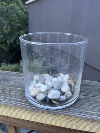 Glass plant vase 1