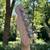 Cozart Electric Guitar (Fender Telecaster Style) 7 thumbnail