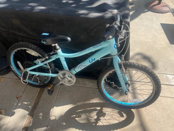 Liv 20 inch youth bike with  gears 1