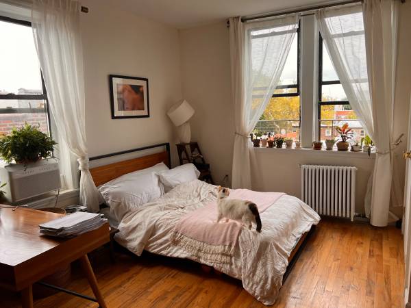 $1,200 / 3br - Large & Sunny Bedroom Available October 5 - November 1 (Clinton Hill)63874741887233121