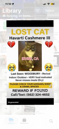 REWARD Missing cat Irvine WOODBURY 1