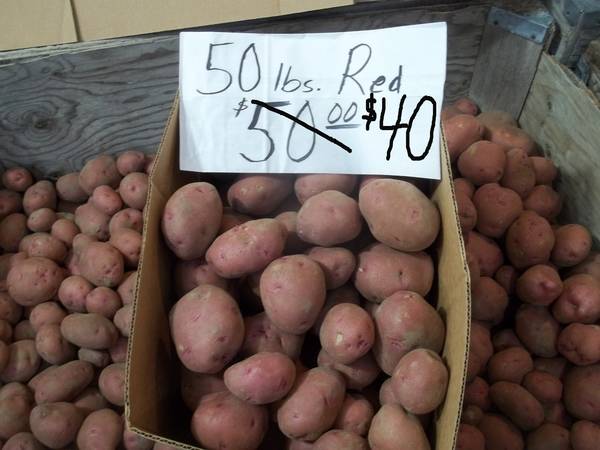 Locally Grown Potatoes Chemical-Free 1