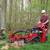 Tree Removal / Pruning / Stump Grinding / Arborist 2 thumbnail