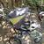 Baby trend three wheel stroller 1 thumbnail