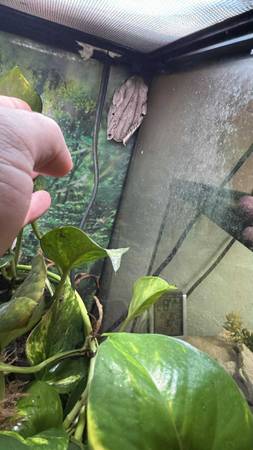 Ranas (Mukwonago)63470300401027121