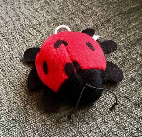 LADYBUG TOY: Jitter Toy. Pull String. Bug Runs. 3" L. Like New. $14.00 (Santa Barbara)