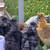 14 silkie chickens 1 thumbnail