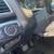 2017 Ford Explorer Limited 4WD 12 thumbnail