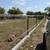 Fencing & Welding 9 thumbnail