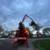 Tree service tree removal 1 thumbnail