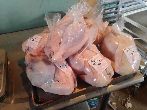 Pasture Raised Heritage Roasters 1