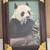 Asian Pandas Embroidered Silk in Curved Glass + Wood Holder +2 Photos 9 thumbnail
