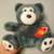 Collectors Choice Lovable Huggable Sitting Gray Bear Limited Edition # 1 thumbnail