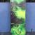 Lib Tech Travis Rice T. Rice T.Rice HP glittertop snowboard 161.5 8 thumbnail