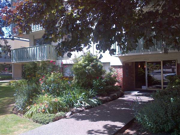 Oak Bay two bedroom apartment - INCLUDES heat, hot water, electricity! 1