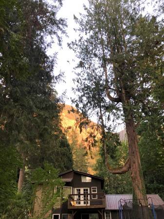 $800 / 1br - RV disponible (seattle, WA)63659582485633120