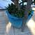 A large Gollum jade in a beautiful glazed blue pot 4 thumbnail