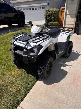 2018 Kawasaki 300 brute force 1