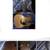 $2000 Nice Guitar w/Case Martin om-21 or D-42 only $4999 1 thumbnail