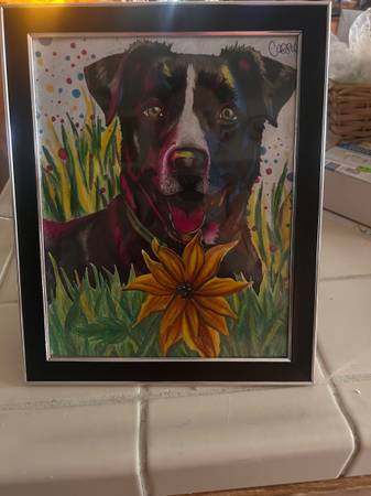 Custom Pet Portraits! (Reno)63992694938627122